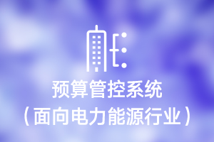 预算管控系统（面向电力能源行业）